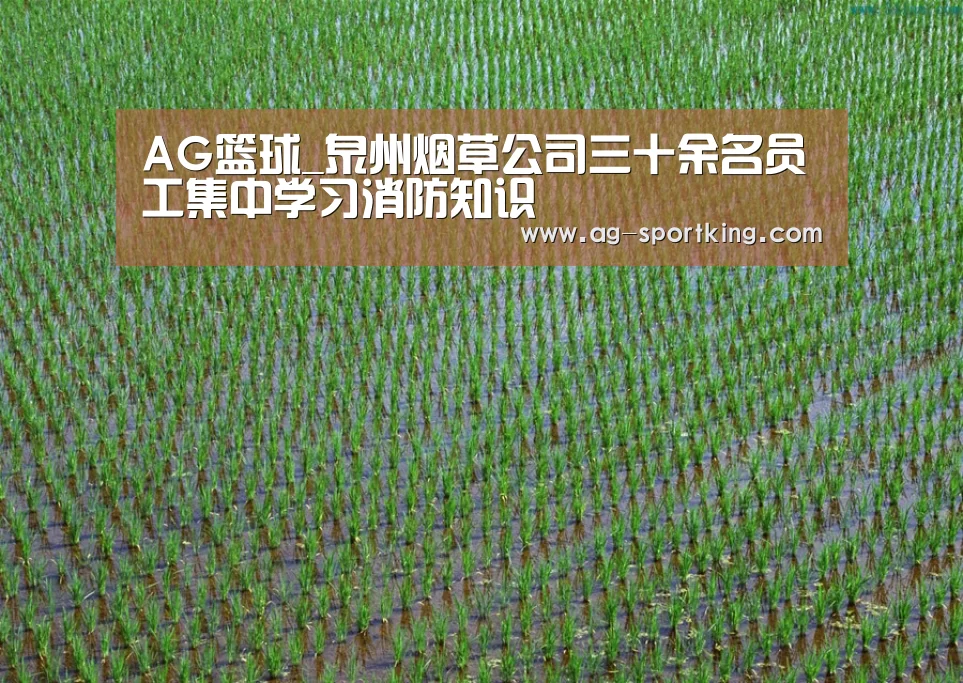 AG篮球