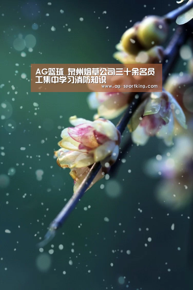 AG赛事