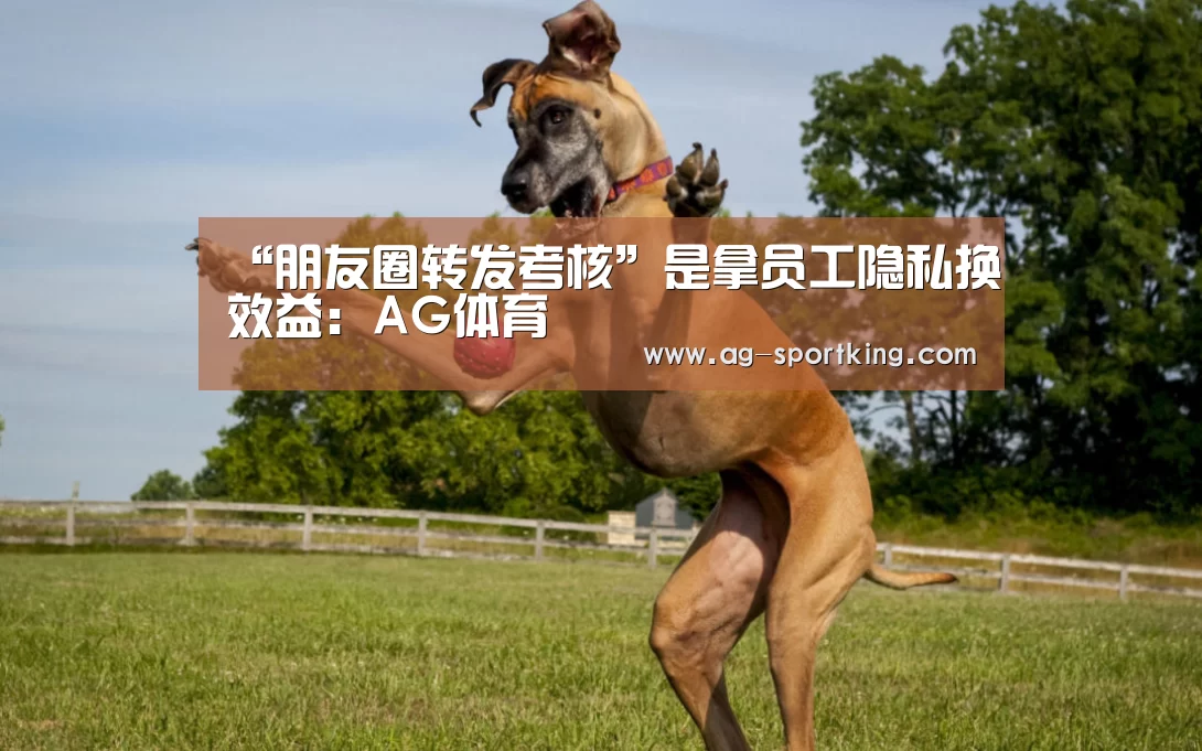 “朋友圈转发考核”是拿员工隐私换效益:AG体育(图4) AG赛事