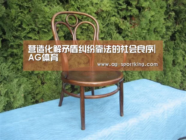 营造化解矛盾纠纷靠法的社会良序|AG体育(图2) AG赛事